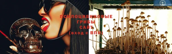 прущий лед Киренск