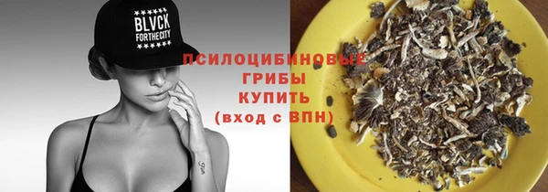 шишки Кинешма