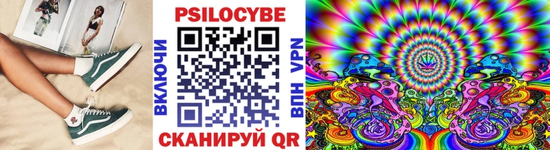 Купить где  Гатчина  Псилоцибиновые грибы Cubensis 